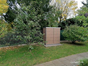 Ein Garten mit Bäumen, einem Zaun und einem braunen Gartenschrank an einer mit Gras bewachsenen Fläche.