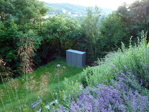 . Ein Garten mit zahlreichen Pflanzen und einem grauen Kasten im Hintergrund, umgeben von Bäumen und Sträuchern.