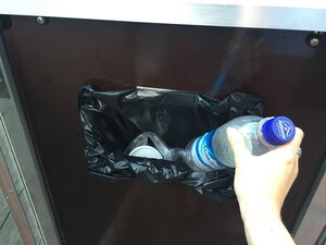. Eine Hand wirft eine Plastikflasche in einen Mülleimer mit schwarzer Tüte.
