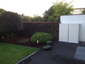 . The image shows a garden area with a few distinct elements:

1. A neatly trimmed tree on the left.
2. Hedges running along the background.
3. A bushy green shrub in the center.
4. Two small cylindrical light fixtures on the ground.
5. Two round green planters on the right, which are empty.
6. A white storage unit against a white wall on the right side.
7. Well-maintained grass and dark paved stones as part of the landscaping.