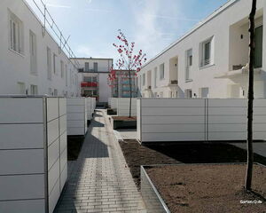 Moderne Reihenhäuser mit weißen Fassaden, schmaler Weg, Zäune, karger Boden und ein kleiner Baum in der Mitte.