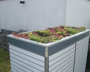 The image depicts an outdoor storage structure with a green roof. The structure has a sleek design with horizontal slats and a small garden on its roof, featuring various small plants and succulents. It's located near a building, with grass and gravel surrounding it.