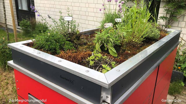 Ein Dachbegrünungsmodul mit Kräutern und Pflanzen auf einem roten Garten-Q-Speicher.