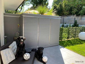 . Zwei schwarze Hunde im Garten neben Metallschuppen, einer mit Fußball auf einer Bank.
