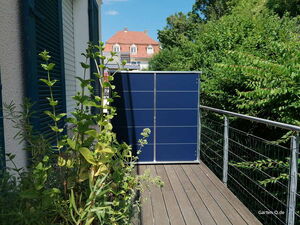 . The image shows a small garden area on a deck or balcony. There are various plants growing, with a green leafy plant most prominent in the foreground. The deck is wooden with a metal railing, and there is a building in the background with blue shutters. A blue structure or storage cabinet is also visible. Tall greenery surrounds the area.
