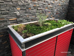 . The image shows a raised garden bed with various plants, including some grass and small shrubs, growing in it. The structure is made of metal with red panels and is placed against a stone wall. The garden bed is designed to be compact and modern, suitable for small spaces or urban gardening.