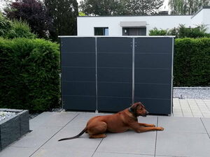 . In the image, there is a brown dog lying on a patio made of large tiles. Behind the dog, there is a modern structure, possibly a storage shed or cabinet, with a sleek dark exterior. The background features green hedges and trees, with a modern white building partly visible beyond the hedges.