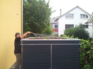 . The image shows a person watering plants on a large elevated garden bed. The garden bed is situated next to a yellow building and surrounded by greenery, with a white house visible in the background. The person is smiling while holding a hose.